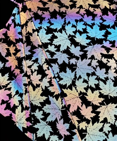 La differenza tra luminescenza, fluorescenza e riflessione