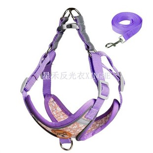 Cane con cinturino riflettente di sicurezza